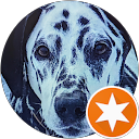 Kathy profile picture